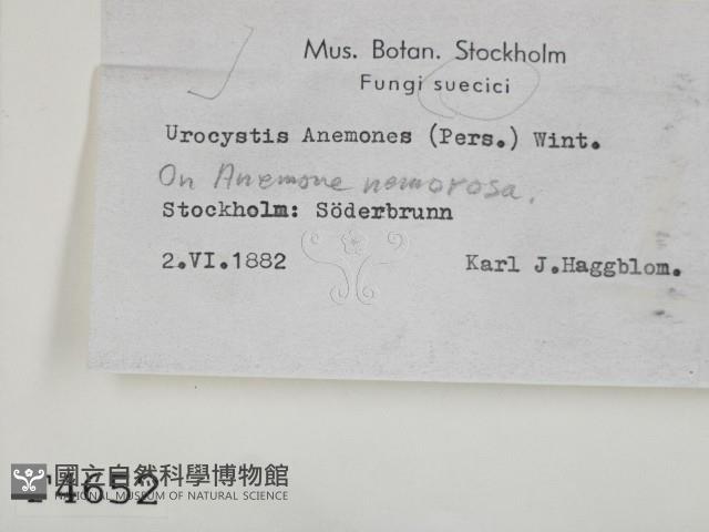 登錄號:F0004652藏品圖，第2張