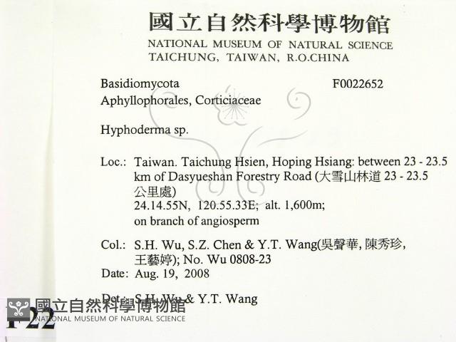 絲皮菌屬藏品圖，第2張