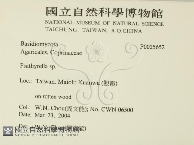 登錄號:F0025652藏品圖，第2張