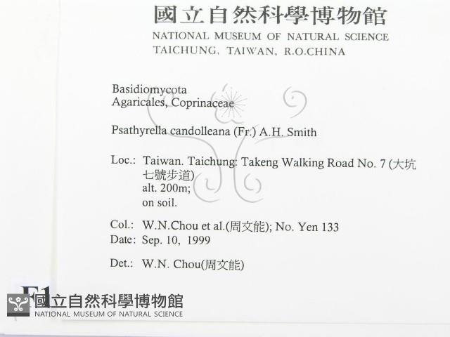 登錄號:F0015652藏品圖，第2張