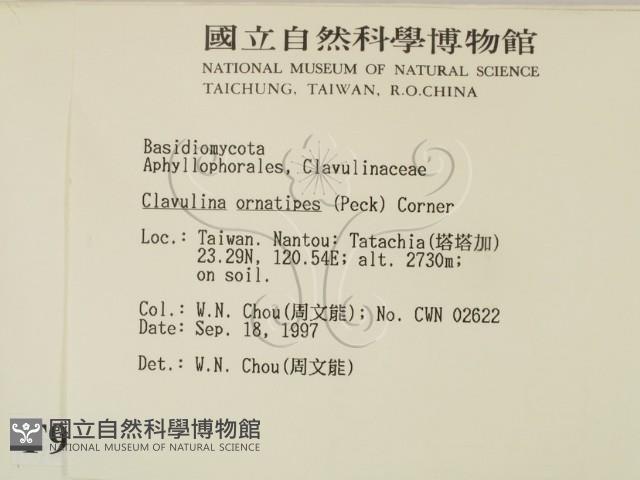 登錄號:F0009652藏品圖，第2張