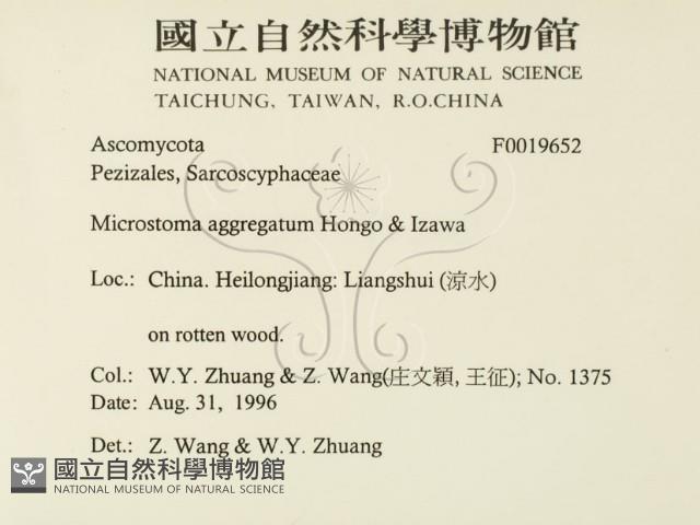 登錄號:F0019652藏品圖，第2張