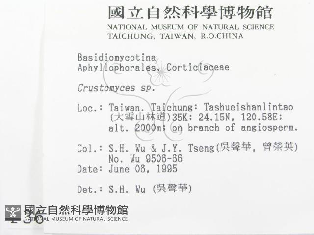 登錄號:F0003652藏品圖，第2張