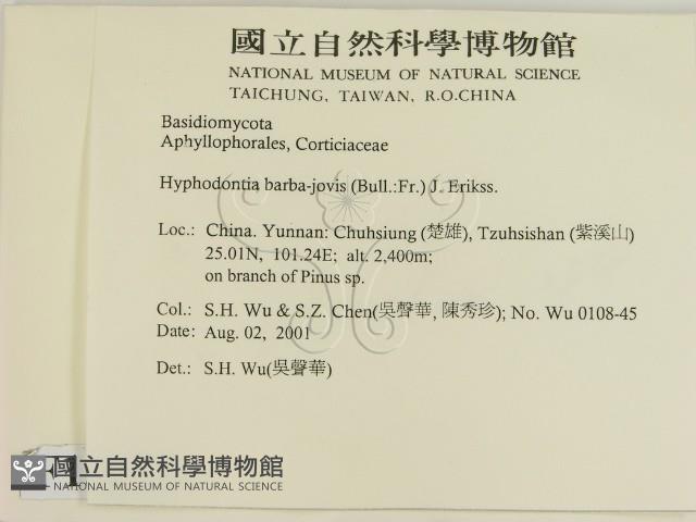 登錄號:F0013652藏品圖，第2張