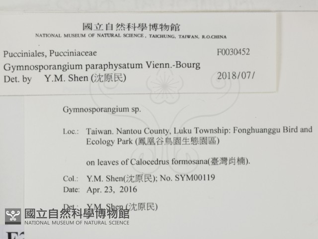 登錄號:F0030452藏品圖，第2張