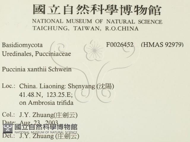 登錄號:F0026452藏品圖，第2張