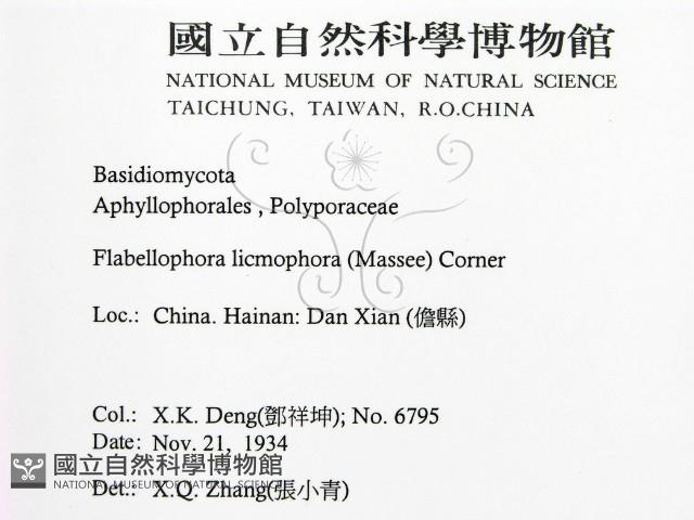 登錄號:F0016452藏品圖，第2張