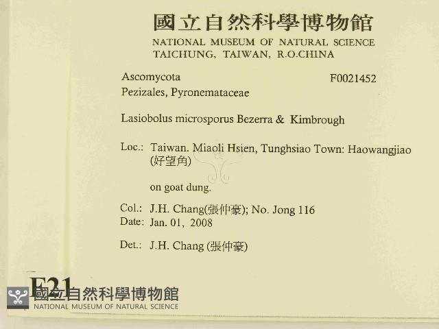 登錄號:F0021452藏品圖，第2張