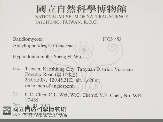 登錄號:F0034452藏品圖，第2張