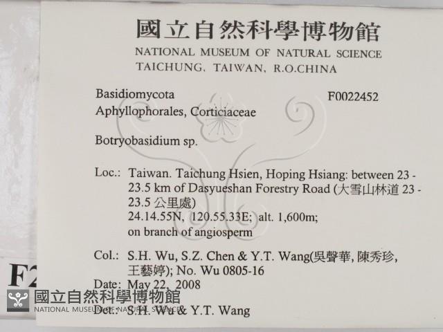 登錄號:F0022452藏品圖，第2張