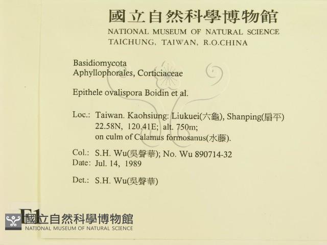 登錄號:F0015452藏品圖，第2張