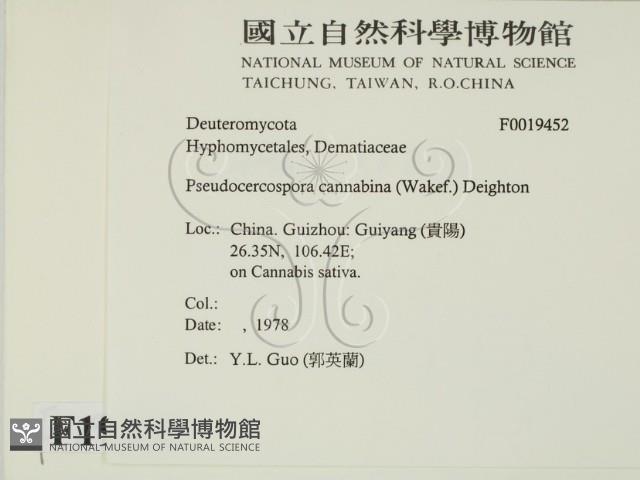 登錄號:F0019452藏品圖，第2張