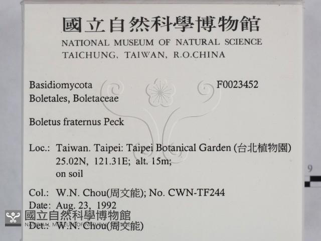 登錄號:F0023452藏品圖，第2張