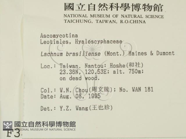 登錄號:F0003452藏品圖，第2張