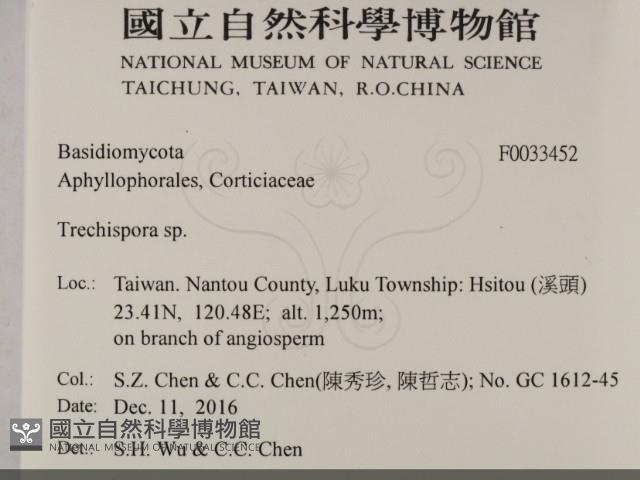 登錄號:F0033452藏品圖，第2張