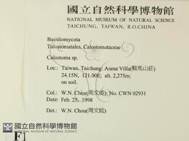 登錄號:F0010752藏品圖，第2張