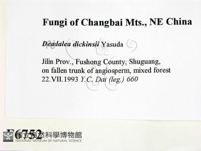 登錄號:F0006752藏品圖，第2張