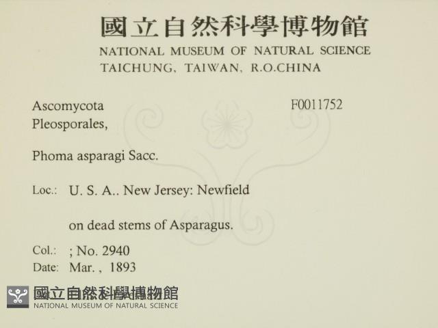 登錄號:F0011752藏品圖，第2張
