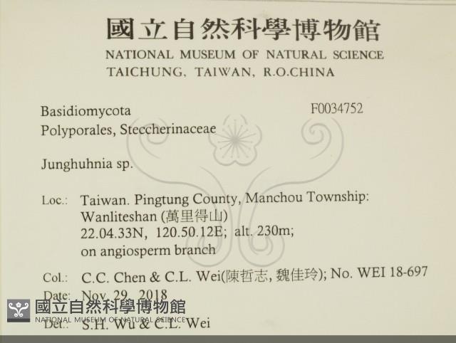 容氏菌屬藏品圖，第2張