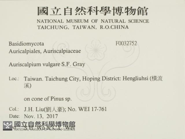 登錄號:F0032752藏品圖，第2張