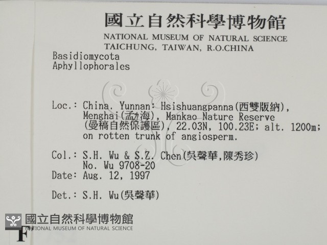 登錄號:F0007752藏品圖，第2張