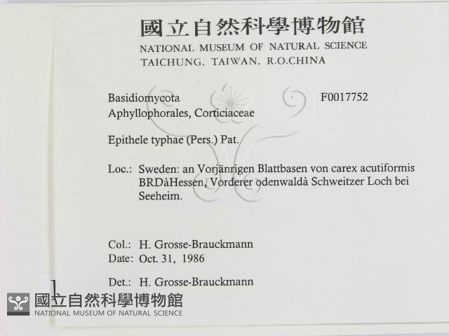 登錄號:F0017752藏品圖，第2張