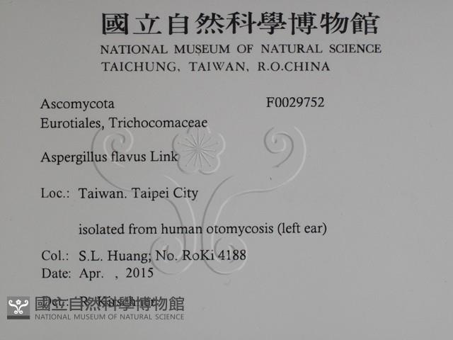 登錄號:F0029752藏品圖，第2張