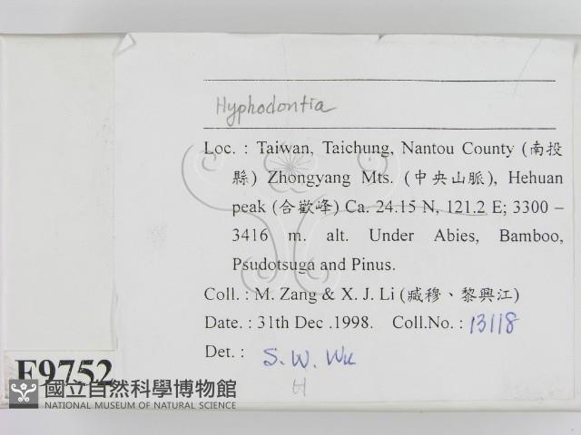 絲齒菌屬藏品圖，第2張