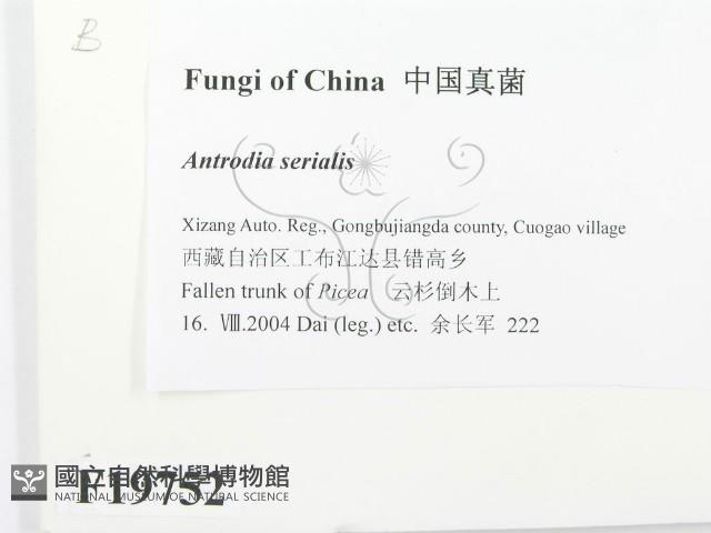 登錄號:F0019752藏品圖，第2張