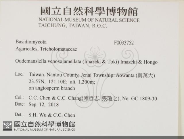 登錄號:F0033752藏品圖，第2張