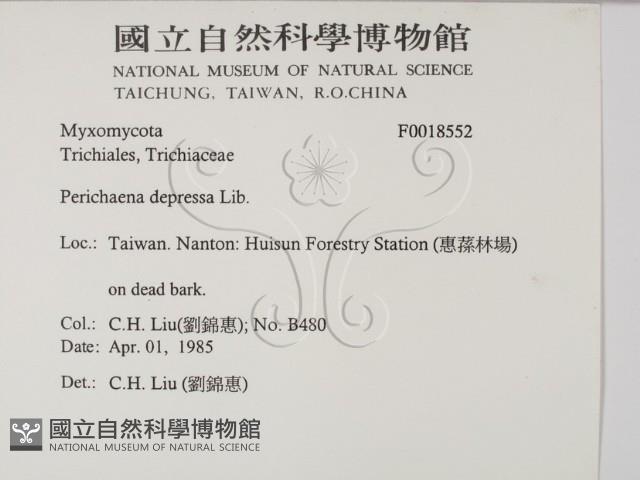 登錄號:F0018552藏品圖，第2張