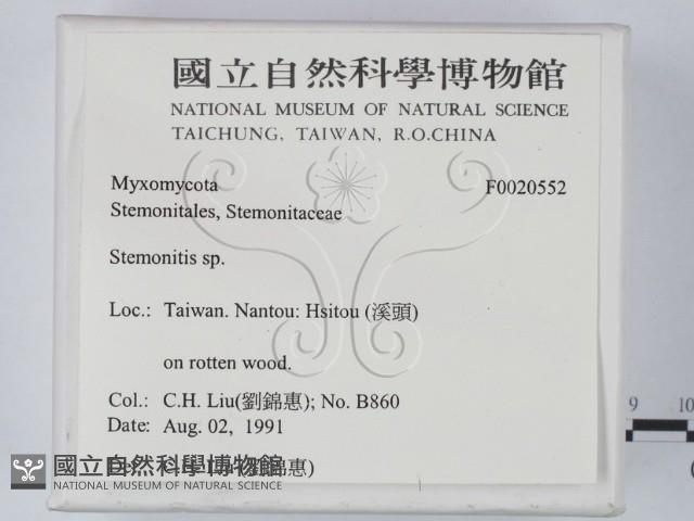 登錄號:F0020552藏品圖，第2張
