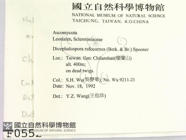 登錄號:F0000552藏品圖，第2張