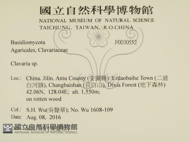 Accession Number:F0030552 Collection Image, Figure 2, Total 2 Figures