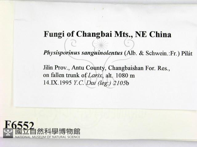 登錄號:F0006552藏品圖，第2張