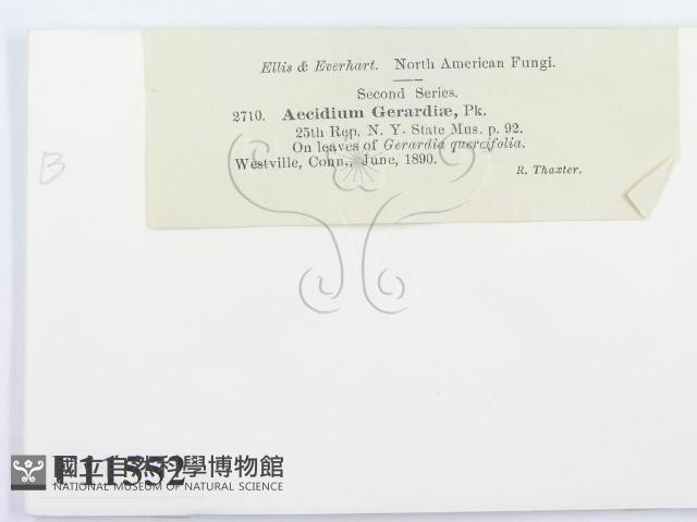 登錄號:F0011552藏品圖，第2張