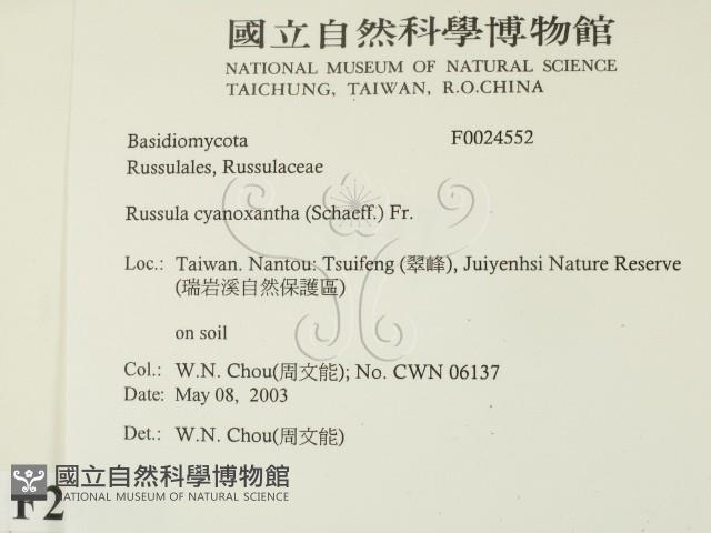 登錄號:F0024552藏品圖，第2張