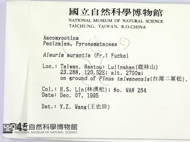 登錄號:F0004552藏品圖，第2張