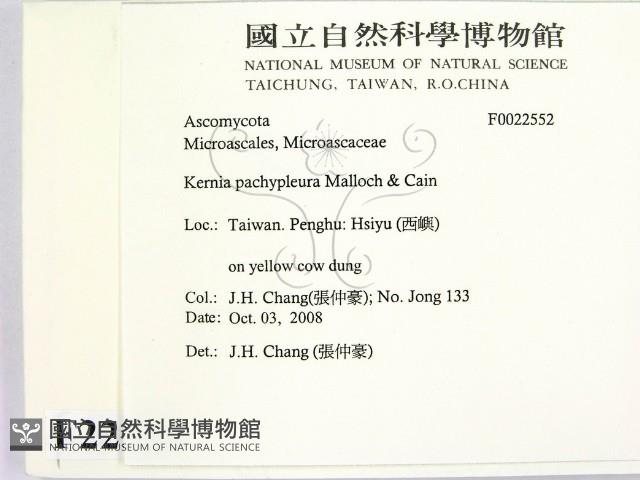 登錄號:F0022552藏品圖，第2張