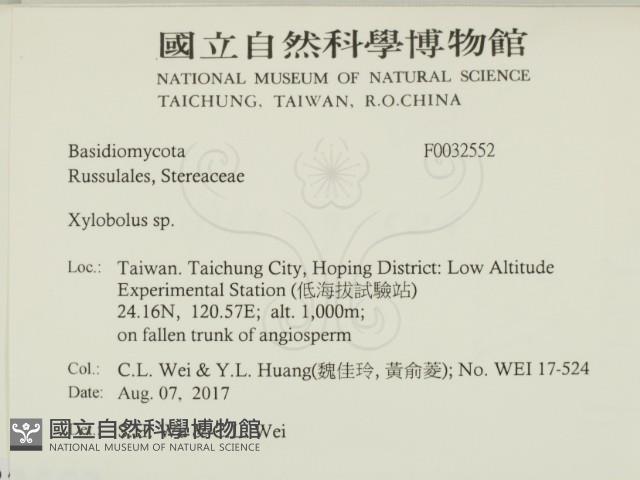 登錄號:F0032552藏品圖，第2張