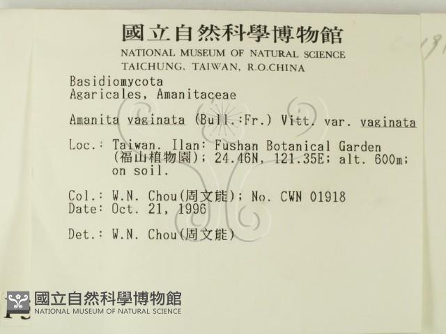 登錄號:F0005552藏品圖，第2張