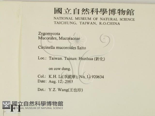 登錄號:F0015552藏品圖，第2張