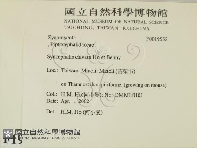 登錄號:F0019552藏品圖，第2張