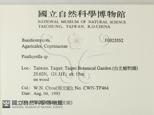 登錄號:F0023552藏品圖，第2張