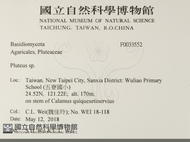 登錄號:F0033552藏品圖，第2張