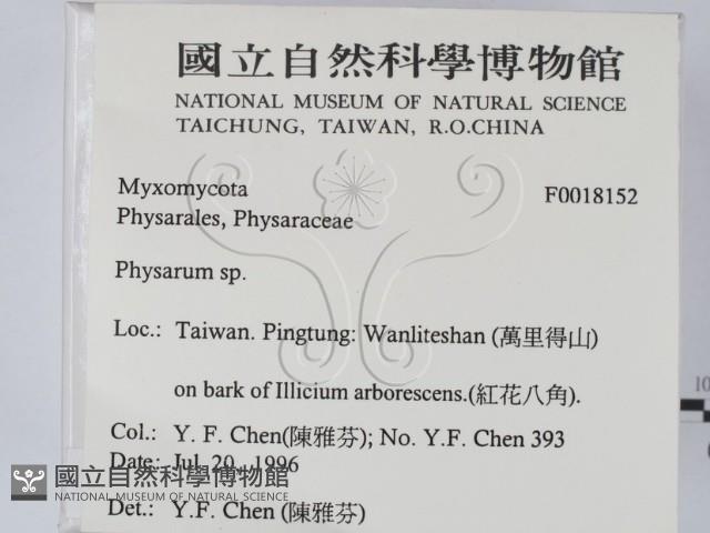 登錄號:F0018152藏品圖，第2張