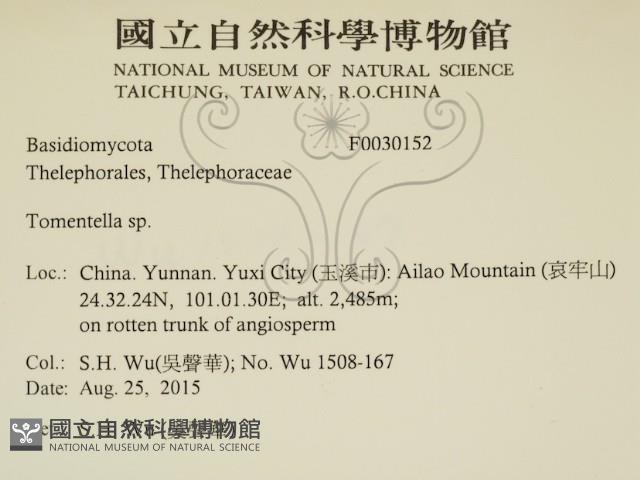 登錄號:F0030152藏品圖，第2張