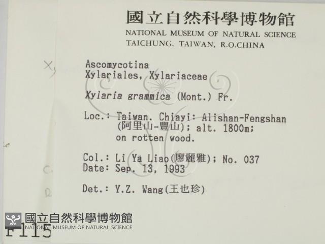 登錄號:F0001152藏品圖，第2張