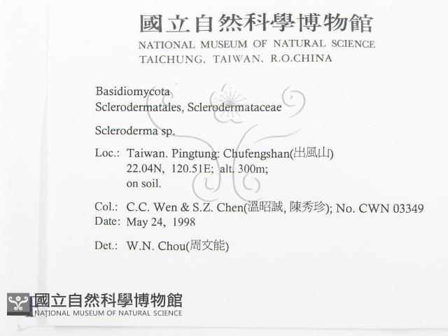 登錄號:F0011152藏品圖，第2張