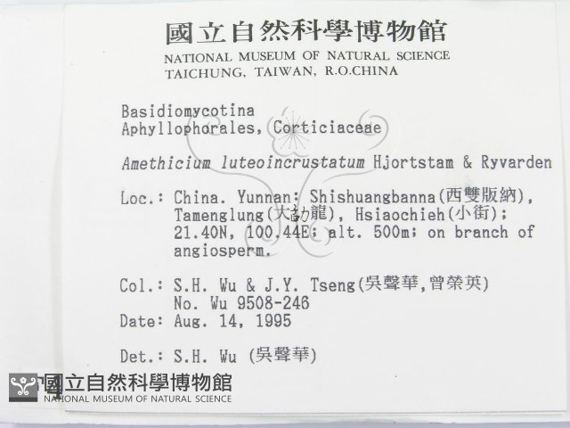 登錄號:F0004152藏品圖，第2張